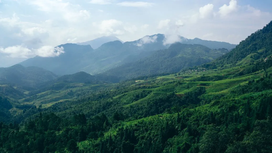 Grüne Berglandschaft mit terrassierten Feldern und tief hängenden Wolken