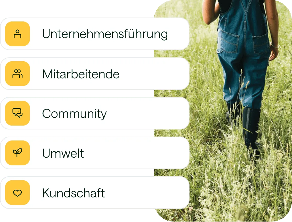 Fünf B-Corp-Kategorien mit Icons: Unternehmensführung, Mitarbeitende, Community, Umwelt, Kundschaft.