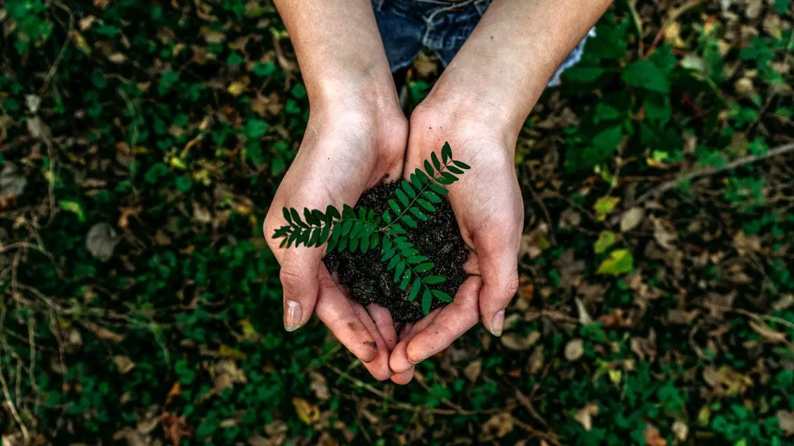 Illustration zur CO₂-Bilanz von Evergreen