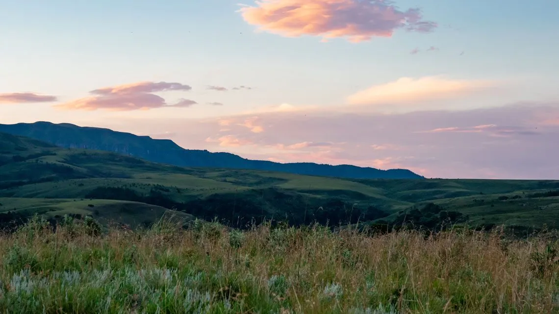 Weite Graslandschaft bei Sonnenuntergang mit rosa gefärbten Wolken am Himmel