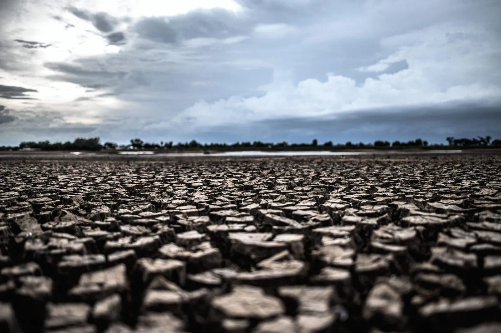 Dürre ist ein Problem bei der CO2-Kompensation