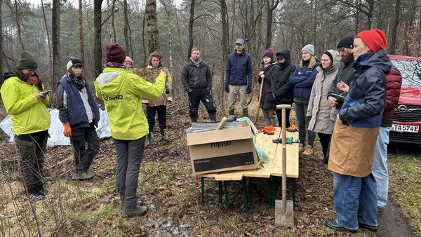 Das Evergreen-Team beim Freiwilligentag im Wald