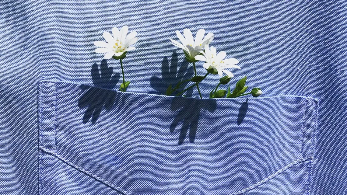 Weiße Blüten stecken in der blauen Brusttasche eines Hemds