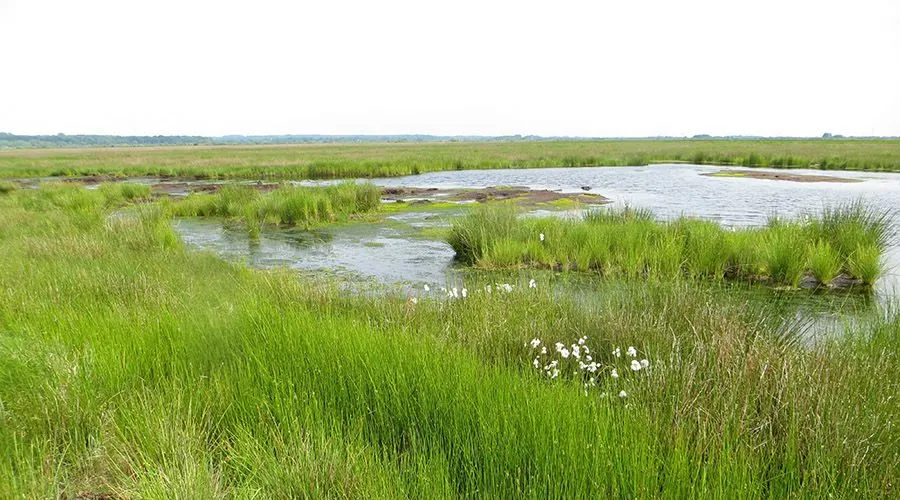Quelle: Stiftung Naturschutz Schleswig-Holstein